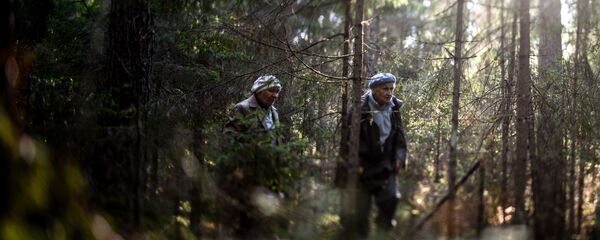 Грибники в лесу, архивное фото - Sputnik Беларусь