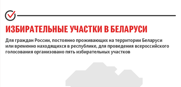 Голосование по изменениям в Конституцию России на территории Беларуси | Инфографика sputnik.by - Sputnik Беларусь