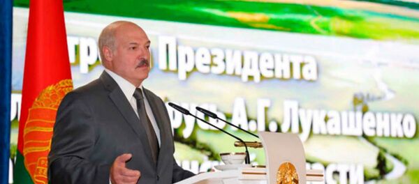 Александр Лукашенко в ходе рабочей поездки в Солигорский район Минской области - Sputnik Беларусь