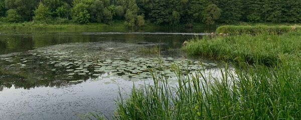 Часть реки Неман возле Гродно Часть реки Неман возле Гродно - Sputnik Беларусь
