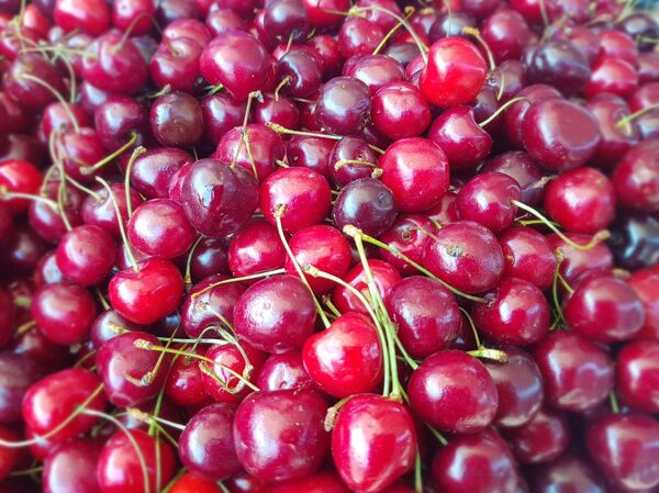 Лисички и первая черника: за чем идти на Комаровку перед выходными - Sputnik Беларусь