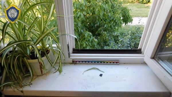 Окно, из которого выпала девочка в Пинском районе - Sputnik Беларусь