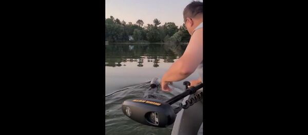 Семья спасла медвежонка от пластикового капкана - видео - Sputnik Беларусь